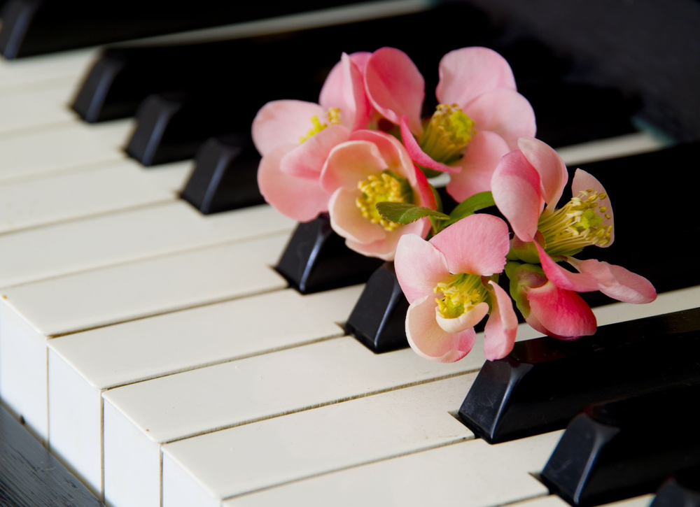 Flowers on piano keys